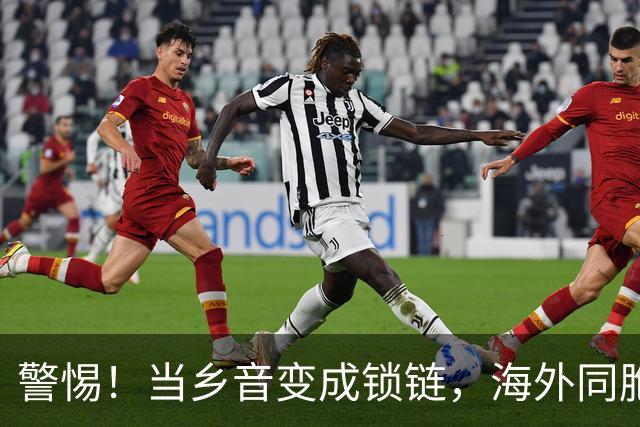 警惕！当乡音变成锁链，海外同胞也能坑你！